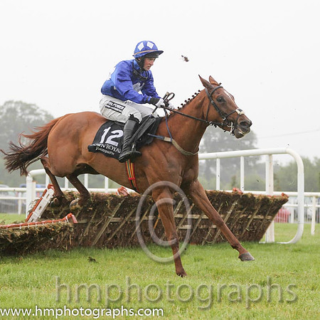 10th Ginger Emblem ( 12 , royal blue, white triple diamond ) and J.M. Moore (7) - Trainer : L. Byrne - Owner : J.J. Kavanagh