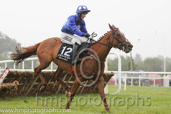 10th Ginger Emblem ( 12 , royal blue, white triple diamond ) and J.M. Moore (7) - Trainer : L. Byrne - Owner : J.J. Kavanagh