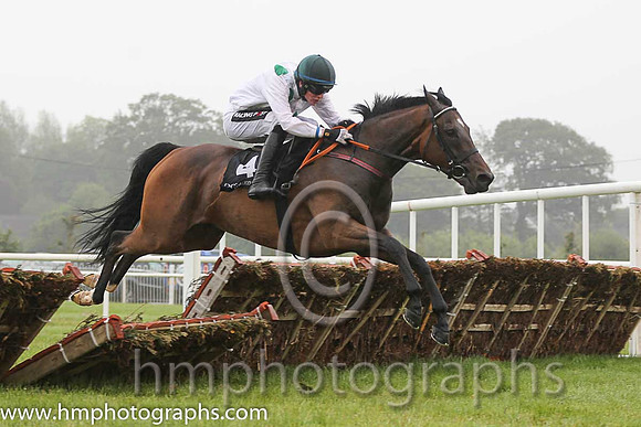 12th Big Tony ( 4 , white, emerald green large spots ) and D.E. Mullins - Trainer : Georgios Pakidis - Owner : Patrick Joseph McCann