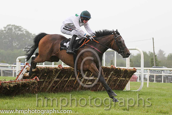 12th Big Tony ( 4 , white, emerald green large spots ) and D.E. Mullins - Trainer : Georgios Pakidis - Owner : Patrick Joseph McCann