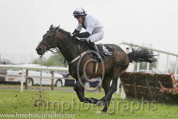 01st Rawnaq ( 4 , white, black panel ) and K.M. Smith (7) - Trainer : Matthew J. Smith - Owner : Kevin John Smith