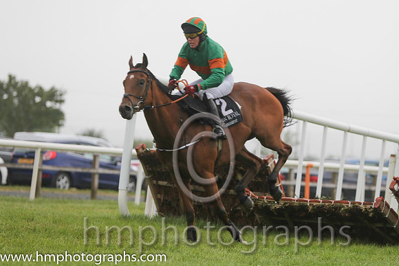 04th To Choose ( 2 , emerald green, orange hoop ) and M.P. Flanagan (7) - Trainer : Thomas Gibney - Owner : Leonard Kinsella