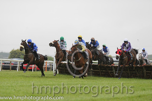 16th Key Account ( 2 , royal blue, dark blue sash ) and Andrew J. McNamara - Trainer : L. Byrne - Owner : Damien Carroll