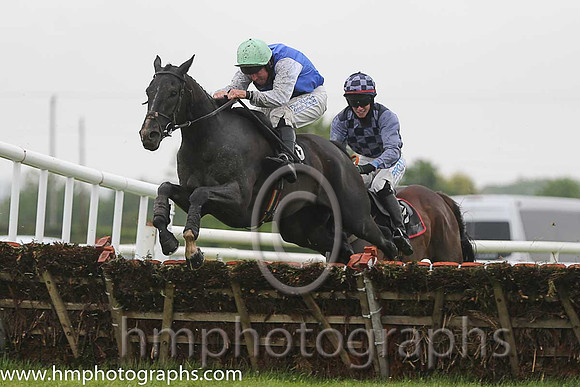 02nd Fighting Days ( 9 , royal blue, white sleeves ) and A.E. Lynch - Trainer : F. Flood - Owner : Kevin Cunningham/T.Owens