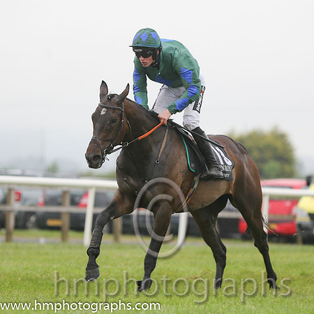 15th Wee Gaza ( 13 , dark green, royal blue diamond ) and D.E. Mullins - Trainer : I. R. Ferguson - Owner : J P Porter