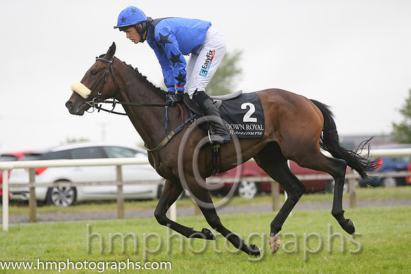 16th Key Account ( 2 , royal blue, dark blue sash ) and Andrew J. McNamara - Trainer : L. Byrne - Owner : Damien Carroll