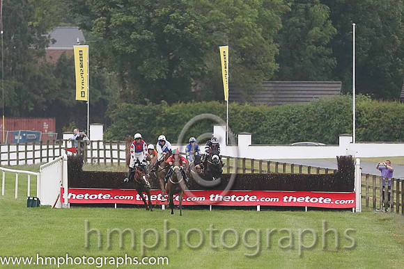 01st Bellgrove ( 1 , red, emerald green spots ) and S.W. Flanagan - Trainer : P.M. Cloke - Owner : M.Sawers