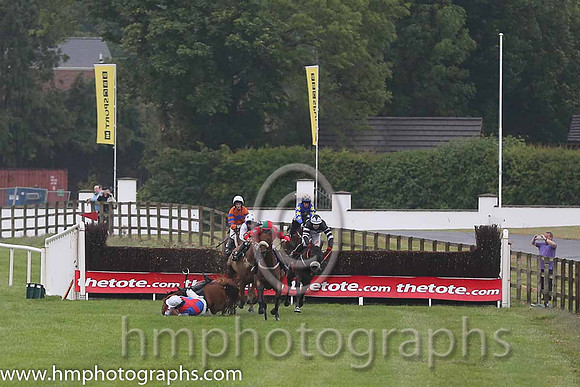 01st Bellgrove ( 1 , red, emerald green spots ) and S.W. Flanagan - Trainer : P.M. Cloke - Owner : M.Sawers
