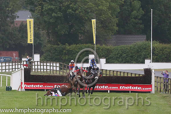 01st Bellgrove ( 1 , red, emerald green spots ) and S.W. Flanagan - Trainer : P.M. Cloke - Owner : M.Sawers