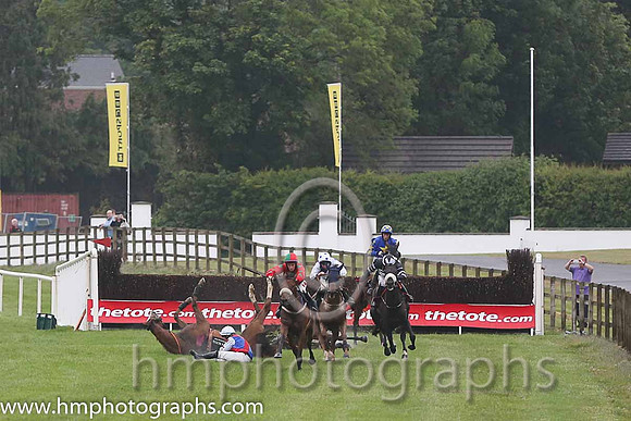 01st Bellgrove ( 1 , red, emerald green spots ) and S.W. Flanagan - Trainer : P.M. Cloke - Owner : M.Sawers