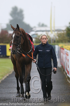 08th Realt Mor ( 3 , dark blue, yellow diamond ) and K.M. Donoghue - Trainer : Gordon Elliott - Owner : Mrs P Sloan