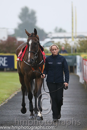 08th Realt Mor ( 3 , dark blue, yellow diamond ) and K.M. Donoghue - Trainer : Gordon Elliott - Owner : Mrs P Sloan