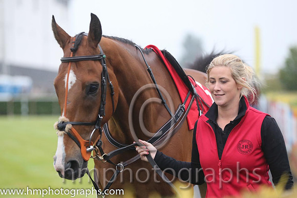 04th Mr Fiftyone ( 5 , purple, black star ) and R.M. Power - Trainer : Mrs John Harrington - Owner : David Bobbett
