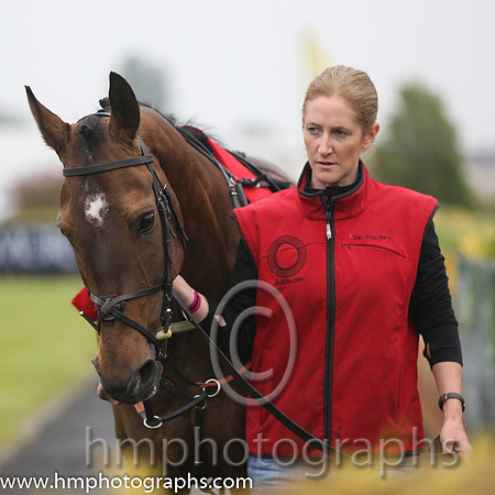 10th U Sizing Solution ( 8 , emerald green, yellow chevron ) and J.J. Burke - Trainer : J.T.R.Dreaper - Owner : Ann  Alan Potts Partnership