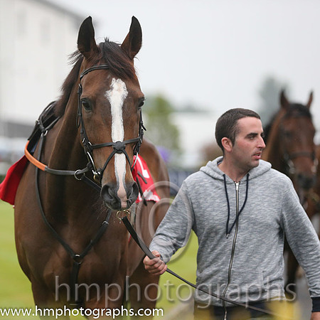 05th Rathlin (GB) ( 2 , maroon, white star ) and B.J. Cooper - Trainer : M.F.Morris - Owner : Gigginstown House Stud