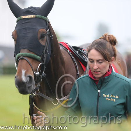 03rd Protaras (USA) ( 9 , yellow and purple diamonds ) and L.P. Dempsey (3) - Trainer : Noel Meade - Owner : Mrs.Maureen Hunt