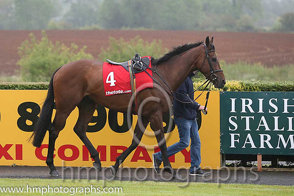 07th Band Of Blood ( 4 , maroon, white star ) and D.J. Mullins (3) - Trainer : M.F.Morris - Owner : Gigginstown House Stud