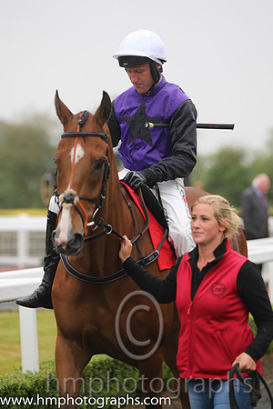 04th Mr Fiftyone ( 5 , purple, black star ) and R.M. Power - Trainer : Mrs John Harrington - Owner : David Bobbett