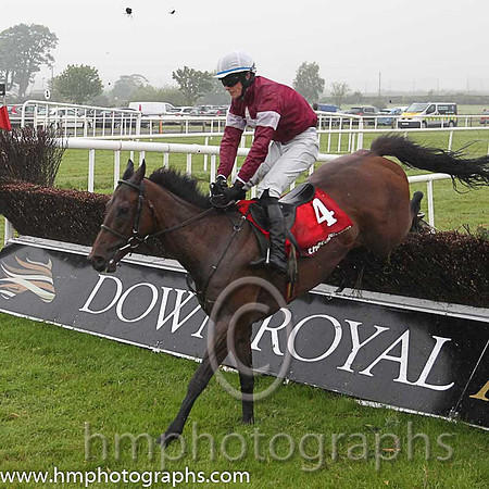 07th Band Of Blood ( 4 , maroon, white star ) and D.J. Mullins (3) - Trainer : M.F.Morris - Owner : Gigginstown House Stud