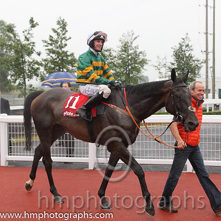 01st Elegant Statesman ( 11 , emerald green and orange hooped ) and N.P. Madden - Trainer : Henry de Bromhead - Owner : John P. McManus