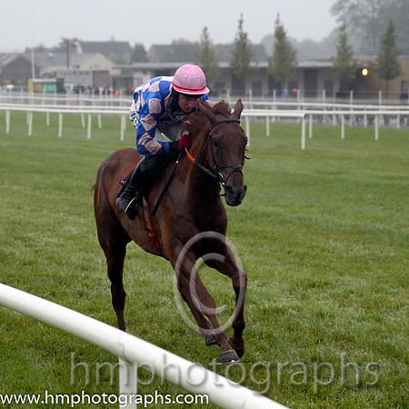 01st Prickly ( 1 , royal blue and pink diamonds ) and D.G. Lavery (5) - Trainer : E. J. O'Grady - Owner : Simon J H Davis