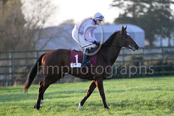 Double Double , 2nd Jockey Miss N Carberry - FT8E6725-e