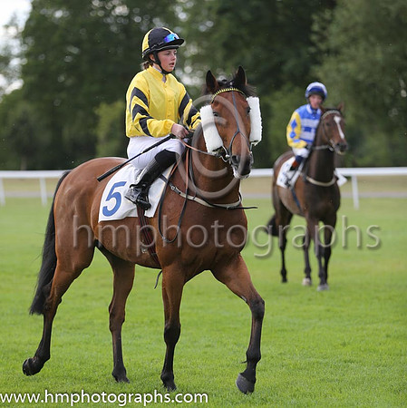 8th No 5 Bridge That Gap (8) - Jockey: Rhiain Ingram (7) - Trainer: R Ingram - Colours: yellow
