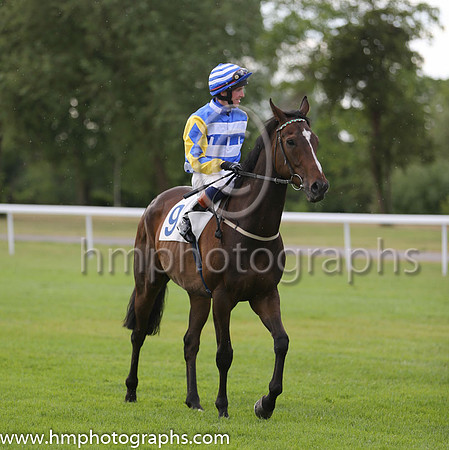 5th No 9 Monzino (USA) (9) - Jockey: Ciaran McKee - Trainer: M C Chapman - Colours: light blue and white hoops,