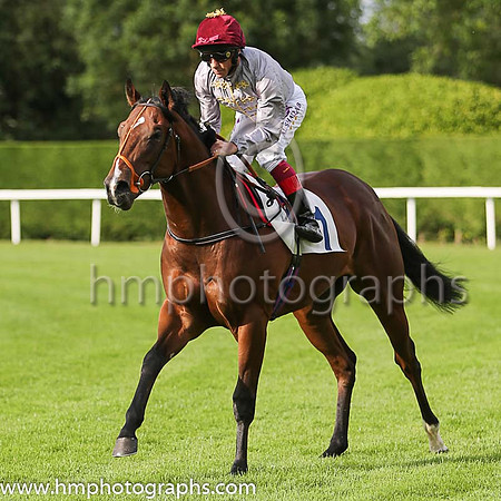 1st No 1 Alkhor (1) - Jockey: L Dettori - Trainer: R Hannon - Colours: grey, green sleeves