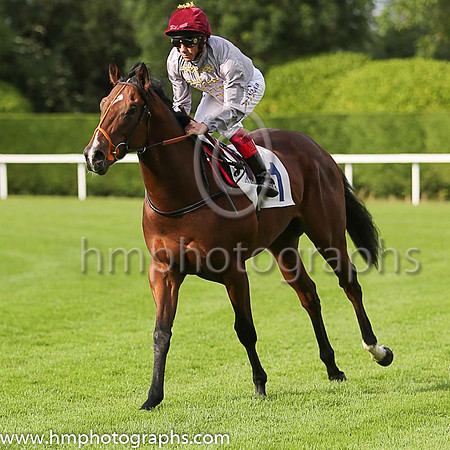 1st No 1 Alkhor (1) - Jockey: L Dettori - Trainer: R Hannon - Colours: grey, green sleeves