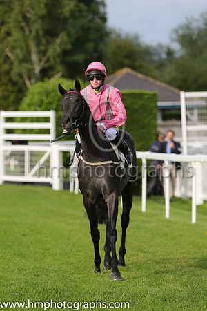 3rd No 8 Stormflower (3) - Jockey: William Carson - Trainer: J J Bridger - Colours: pink, grey braces