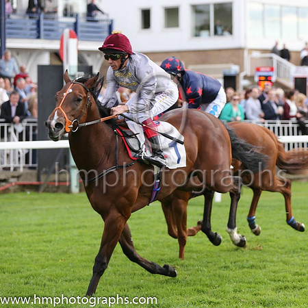 1st No 1 Alkhor (1) - Jockey: L Dettori - Trainer: R Hannon - Colours: grey, green sleeves