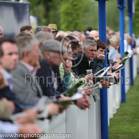 Spectators at Windsor Racecourse