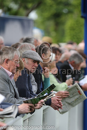 Spectators at Windsor Racecourse
