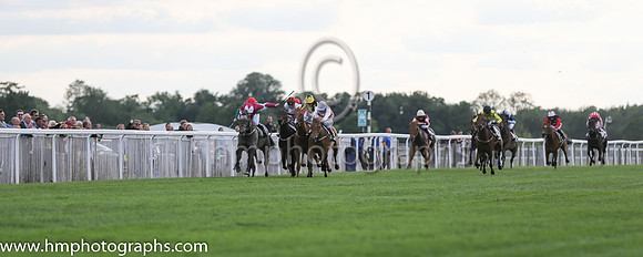 2nd No 13 Silver Springs (IRE) (1) - Jockey: J F Egan - Trainer: P D Evans - Colours: maroon