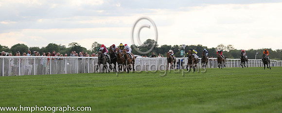 2nd No 13 Silver Springs (IRE) (1) - Jockey: J F Egan - Trainer: P D Evans - Colours: maroon