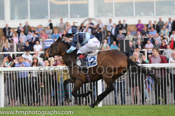 10th No 12 Romancingthestone (4) - Jockey: Josephine Gordon (7) - Trainer: J S Moore - Colours: dark blue, light blue cross belts