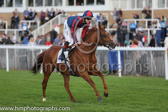 2nd No 4 Tamayuz Star (IRE) (6) - Jockey: T P Queally - Trainer: G G Margarson - Colours: blue, red epaulettes