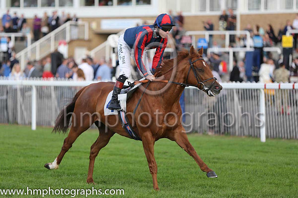 2nd No 4 Tamayuz Star (IRE) (6) - Jockey: T P Queally - Trainer: G G Margarson - Colours: blue, red epaulettes