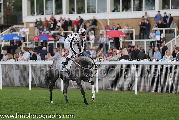 5th No 7 Pensax Lad (IRE) (7) - Jockey: S J Drowne - Trainer: R Harris - Colours: white, black stars