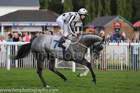 5th No 7 Pensax Lad (IRE) (7) - Jockey: S J Drowne - Trainer: R Harris - Colours: white, black stars