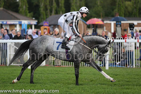 5th No 7 Pensax Lad (IRE) (7) - Jockey: S J Drowne - Trainer: R Harris - Colours: white, black stars