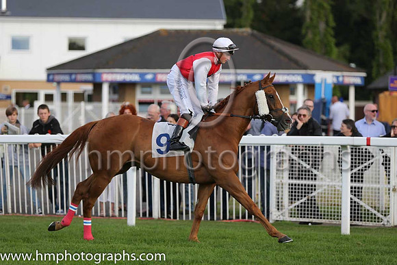 7th No 9 Noverre To Go (IRE) (5) - Jockey: Tom Marquand (5) - Trainer: R Harris - Colours: red black star