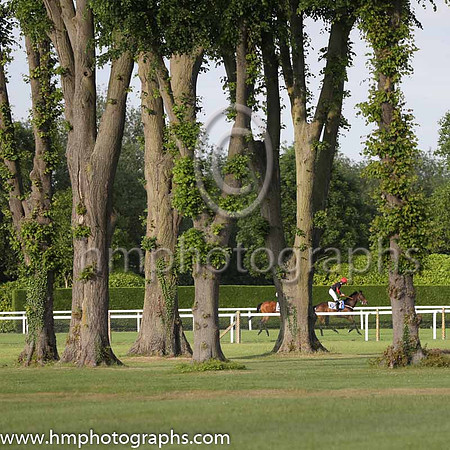 3rd No 6 Midnight Rider (IRE) (4) - Jockey: Oisin Murphy - Trainer: B R Millman - Colours: black, red cross