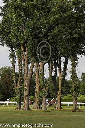 Windsor Racecourse