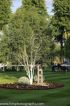 Royal Windsor Racecourse