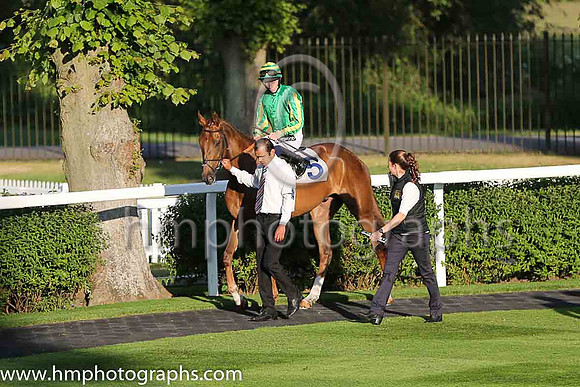 4th No 5 Hannington (7) - Jockey: Edward Greatrex (7) - Trainer: A M Balding - Colours: green