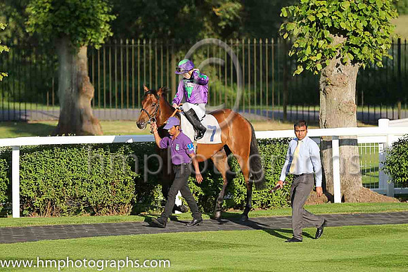 7th No 7 Double Czech (IRE) (3) - Jockey: David Probert - Trainer: P R Chamings - Colours: purple, green inverted triangle