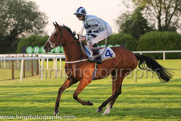 7th No 4 Buy Now Pay Later (10) - Jockey: R Havlin - Trainer: B R Millman - Colours: light blue, dark blue cross