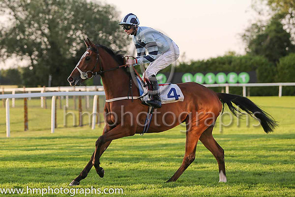 7th No 4 Buy Now Pay Later (10) - Jockey: R Havlin - Trainer: B R Millman - Colours: light blue, dark blue cross